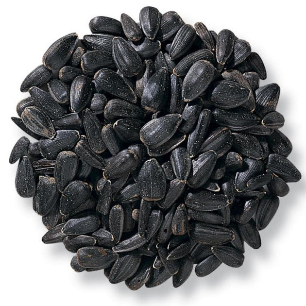 Black Oil Sunflower Seeds vs. Striped Sunflower Seeds (2024