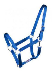 Cavalier Economy Halter XL