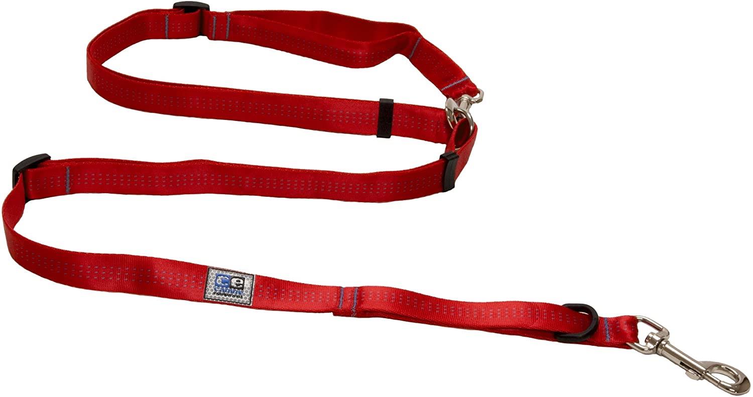  The Dog Walker Company Reflector Accent Harness Small Dogs  4-5lbs. (Red with Black Trim) : Pet Supplies
