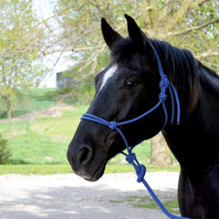 Cavalier Mountain Rope Halter with 8 Ft Lead