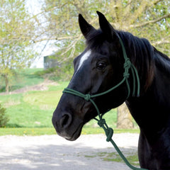 Cavalier Mountain Rope Halter with 8 Ft Lead