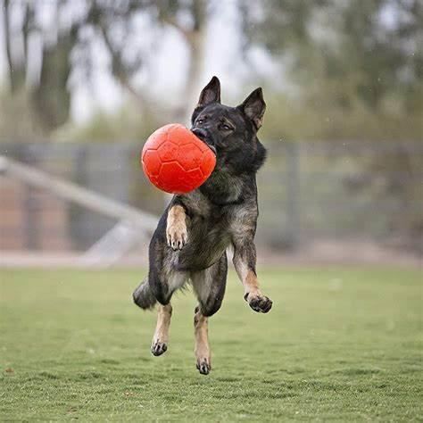 Jolly Pets - Soccer Ball - Assorted Colours - 6" or 8"