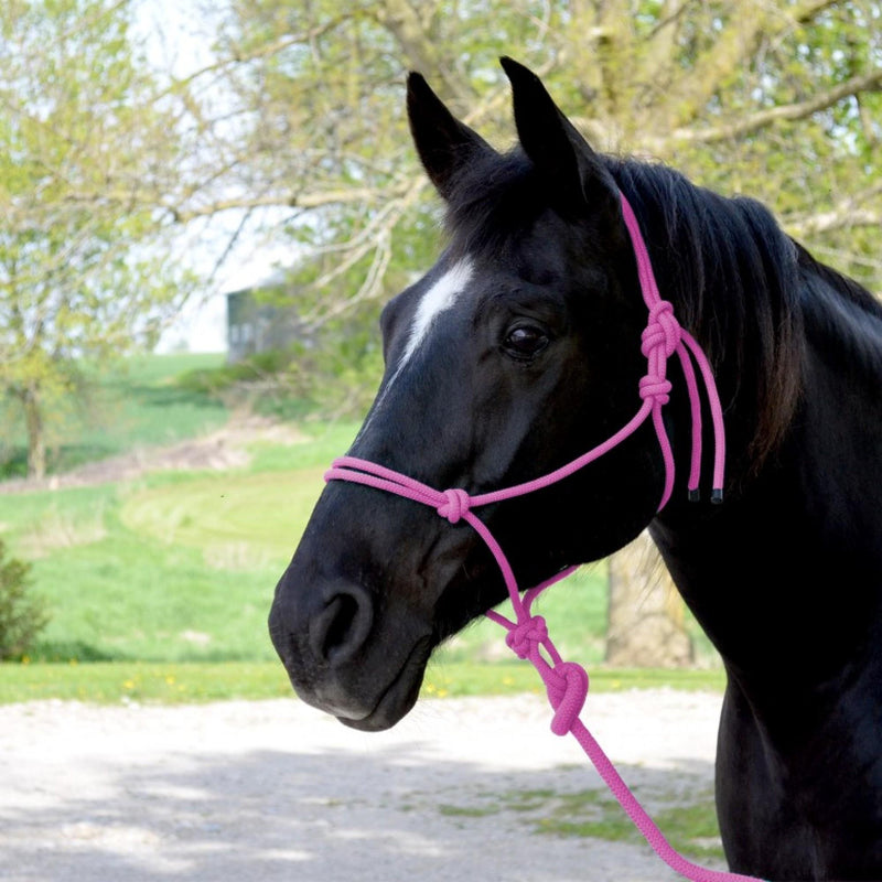 Cavalier Mountain Rope Halter with 8 Ft Lead